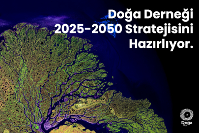 Doğa Derneği yeni yol haritasını tasarlayacak