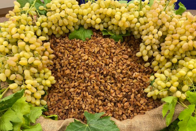 Türkiye çekirdeksiz kuru üzümde başarılı bir ihracat sezonuna imza atıyor