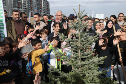 Yanan alanlara yeni fidanlar dikilecek