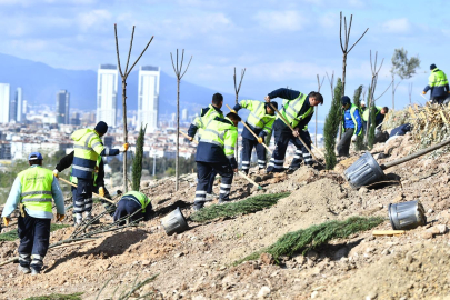 Bornova yeni bir orman kazanıyor