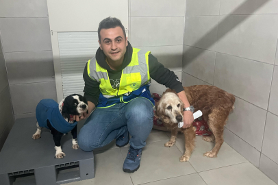 Bursa'da Büyükşehir Belediyesi, bayramda da can dostların yanında