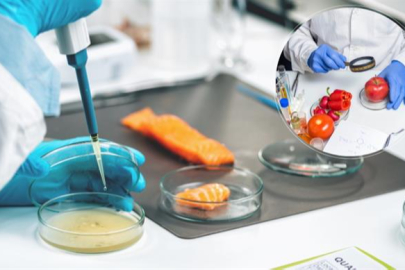 'Safe2Eat' kampanyasına bu yıl Türkiye de katıldı