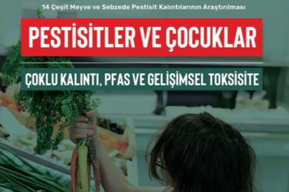 Greenpeace Raporuna Göre Yediklerimiz İle Zehirleniyoruz