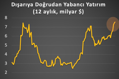 Şok Eden Rakam: Türk Vatandaşlarının Yurt Dışı Yatırımları Rekor Kırdı!