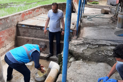 Marmara'da Kirliliğe Geçit Yok: 4 Yılda 1,8 Milyar TL Ceza, 268 Faaliyet Durdurma Kararı