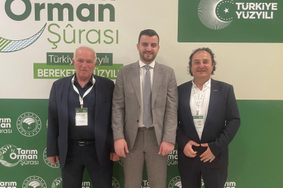Ahşap Palet Sektörü Destek Bekliyor