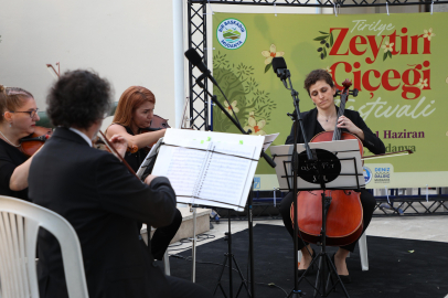 Tirilye’de Zeytinin Çiçeği Açtı, Festival Sokakları Sardı