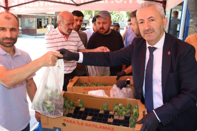 İzmit Belediyesinden Vatandaşa Ücretsiz Fide Desteği