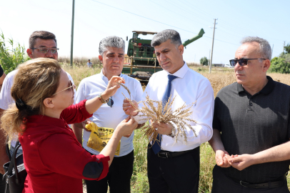 Hasat Buğdayı İhtiyaç Sahiplerine Ücretsiz Un Olarak Ulaştırılacak