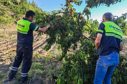 Güriş Holding'den Son İki Yılda 674 Kurumsal Sosyal Sorumluluk Projesi