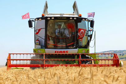 İBB İstanbullu Çiftçilere Verdiği Desteğin Meyvelerini Topluyor