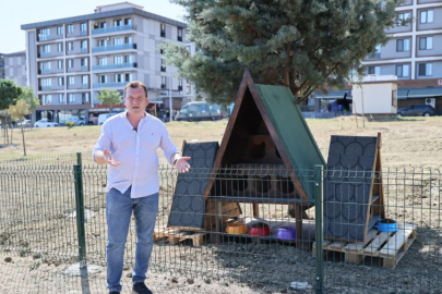 Silivri Belediyesi’nden Sokak Kedileri İçin Yeni Nesil Kedi Evleri