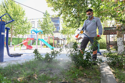 Mersin Mut’ta Sineksiz Yaz İçin Yoğun Mücadele