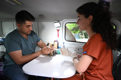 Patili Canlara Mobil Hizmet   