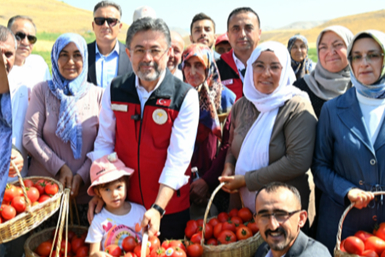 Kişi Başına Yılda 109 Kilo Domates Tüketiyoruz