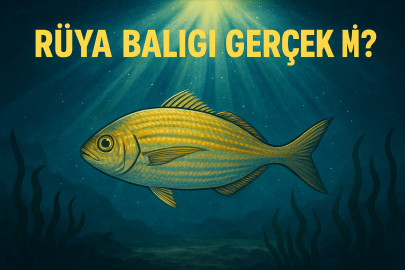 Olta Balıkçıları Dikkat. Bu Balık Sizi Hastanelik Edebilir