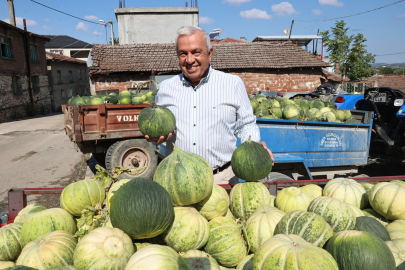 Nilüfer Konaklı’daki Kavun Üretimi İki Kat Arttı