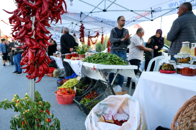 Silivri'de  Sayalar Kırmızı Biber Şenliği Düzenlendi