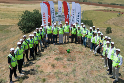 Sintek, 20. Yılında Geleceğe 10 Binin Üzerinde Fidanla Nefes Oldu