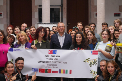 Ayvalık’ta Zeytin Kültürü Deneyimi