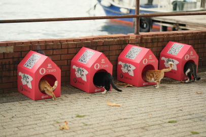 Opera “Kedi Mahallesi” Oluşturmak için HAÇİKO ile Güçlerini Birleştirdi