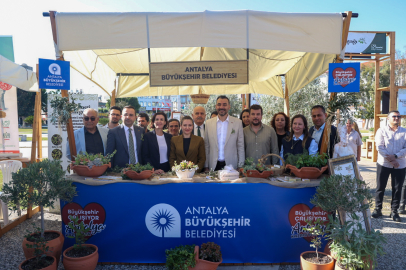 Antalya Manavgat'ta 2. Zeytin ve Zeytinyağı Festivali Heyecanı
