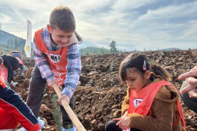 “81 İlde 81 Orman” Projesi Muğla İle Devam Ediyor