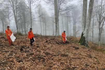 Harmancık’ta Yanan Ormanlara Tohumlar Serpiliyor