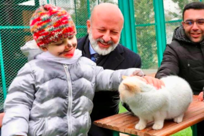 Türkiye’de İlk Olan Küçük Dostlar Ambulansı İle 10 Bin 280 Can Kurtarıldı