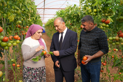    Şok Marketler’de Yeni Dönem