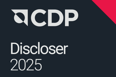 Çolakoğlu Metalurji, CDP’de “Yönetim Seviyesi”nde B Skoru Aldı