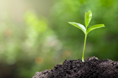 Fuzul’den 2025 Çalışanı Adına Çanakkale ve Şanlıurfa’ya 2025 Fidan Bağışı