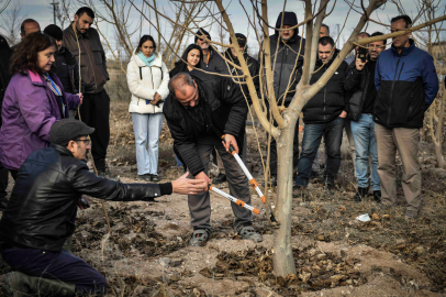 ABB’den Meyve Ağaçlarının Gelişimine Destek