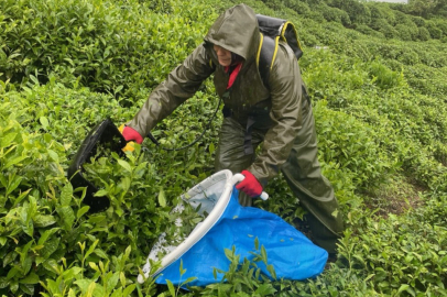 Ergonomi ve Egzersiz, Çay İşçilerinin Sağlığını Güçlendiriyor!