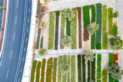 İzmir’in Renkleri Büyükşehir Fidanlıklarında Filizleniyor