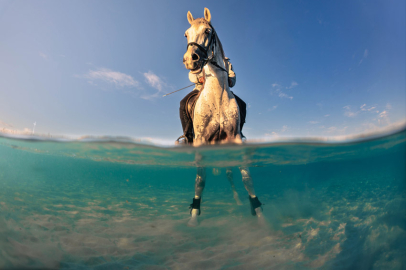 Sony Dünya Fotoğrafçılık Ödülleri:   Öğrenci ve Gençlik Kategorileri Kısa Listeleri Açıklandı