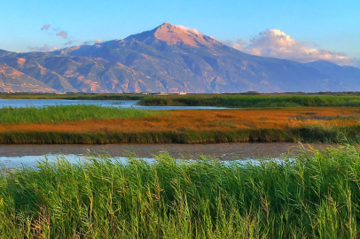 Milleyha Doğa Gözlem Merkezi Üç Gün Sürecek "Doğa Buluşması" ile Kapılarını Açıyor
