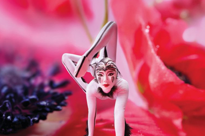 Cirque du Soleil’in en büyük ve en çarpıcı gösterisi OVO İstanbul’da