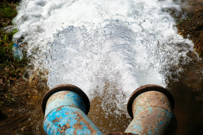 Yasağa Rağmen Mısır Ekimi 15 Milyar TL’lik Kayba Yol Açtı