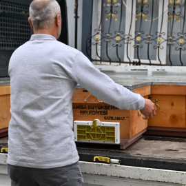 Sel Mağduru Arıcıya Kovan Desteği