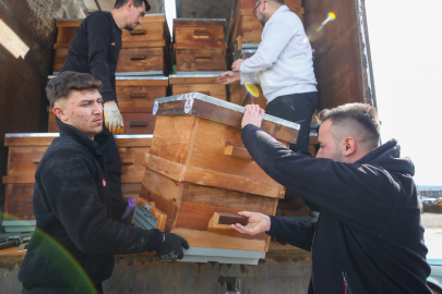 Kırsal Üretime Kovan Desteği