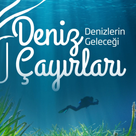 Milyar Dolarlık Ekolojik Tehdit!