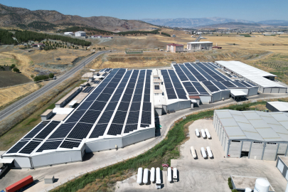 CW Enerji’den Sanayiye Yeşil Enerji Desteği