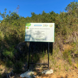 Watsons Türkiye’den 500 Bin Fidan Bağışı