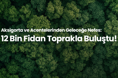 12 Bin Fidan Toprakla Buluştu 