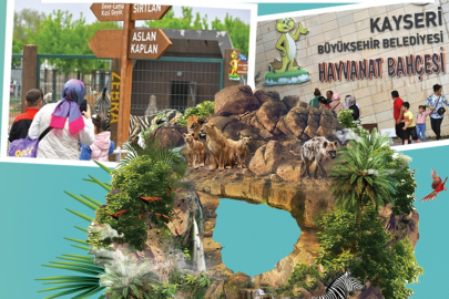Kayseri'de Hayvanat Bahçesi Bayramda Ücretsiz