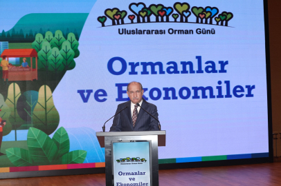 Ormanların Ekonomik Gücüne Dikkat Çekildi