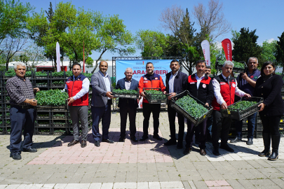 Kahramanmaraş'ta Üreticiye 650 Bin Hibe Biber Fidesi