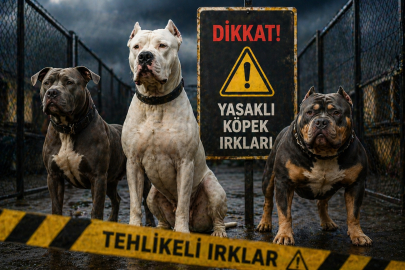 Türkiye'de Yasaklı Köpek Türleri 2026: Güncel Liste, Cezalar ve Yeni Düzenlemeler