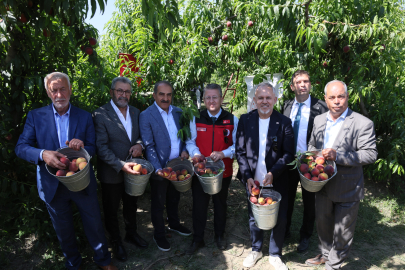Türkiye Şeftali ve Nektarinde 250 Milyon Dolar İhracat Hedefi Koydu